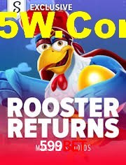 Crash Games Statistics 599Bet
